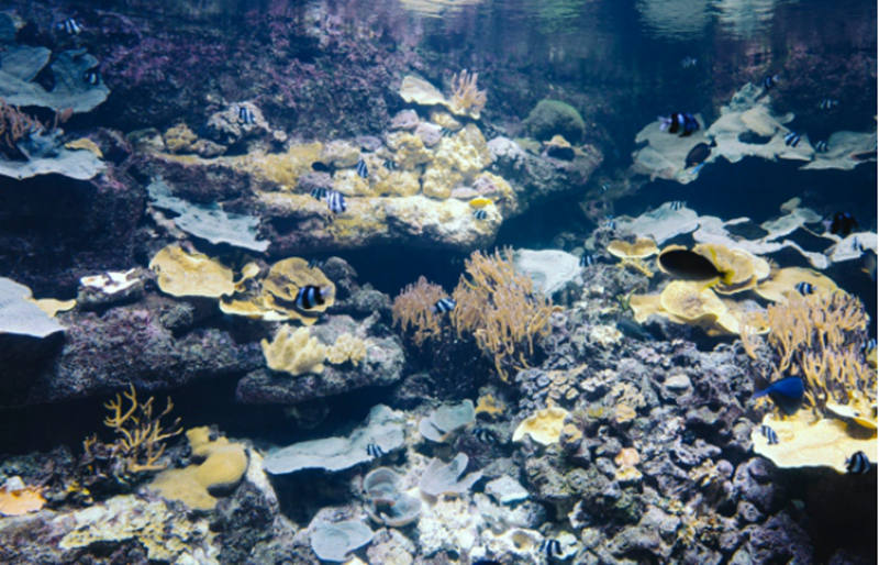 法国巴黎水族馆